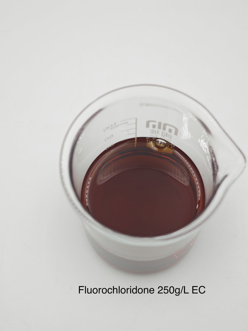 Fluorochloridone 250g/L EC